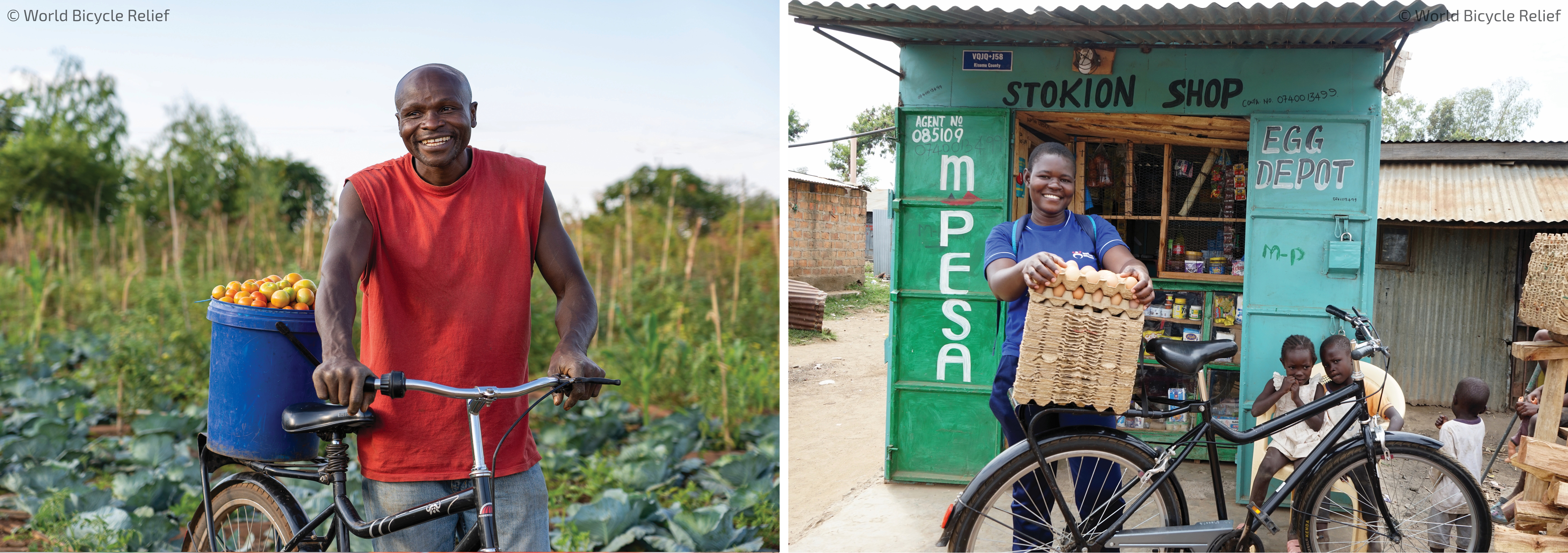 World Bicycle Relief: Wirtschaftliche Entwicklung